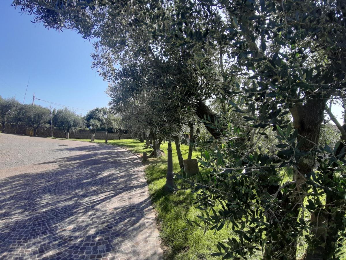 B&B Le Bacette Caprarola Buitenkant foto